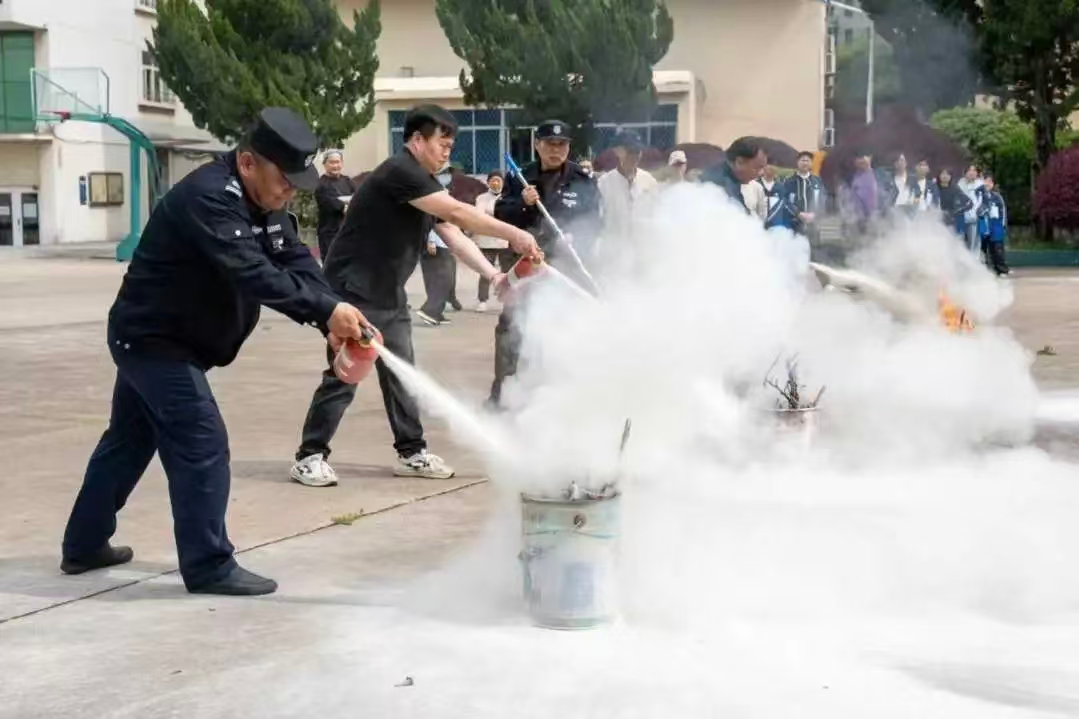 图片11 图片11